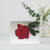 赤いバラのはがき ポストカード (スタンド正面)