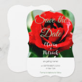 赤いバラのウェディング・セーブ・ザ・デート 招待状 (正面/裏面)