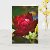 赤いバラのカード カード (黄色い花)