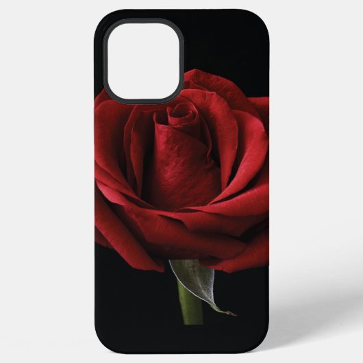 赤いバラのクッションカバー iPhoneケース (裏面)