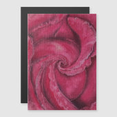 赤いバラのクローズアップ (正面/裏面)