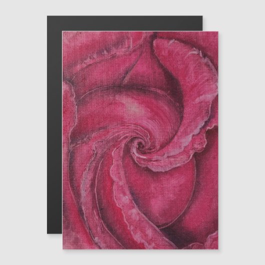 赤いバラのクローズアップ (正面/裏面)