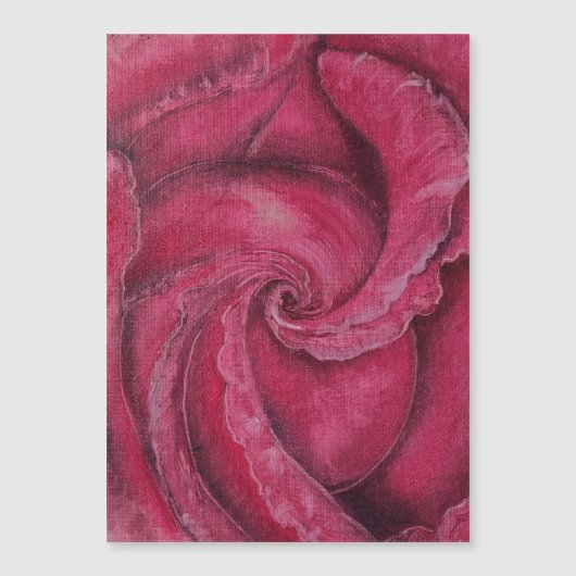 赤いバラのクローズアップ (正面)