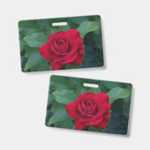 赤いバラのクローズアップ バッジ (正面＆裏面)