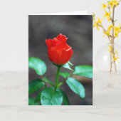 赤いバラのグリーティングカー空白のド内 カード (黄色い花)