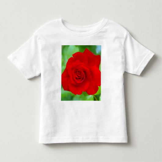 赤いバラのシャツ トドラーTシャツ (正面)