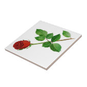 赤いバラのタイル タイル (側面)