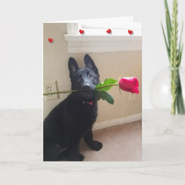 赤いバラのバレンタインのカードで子犬の愛はない シーズンカード