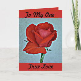 赤いバラのバレンタインの挨拶状 シーズンカード