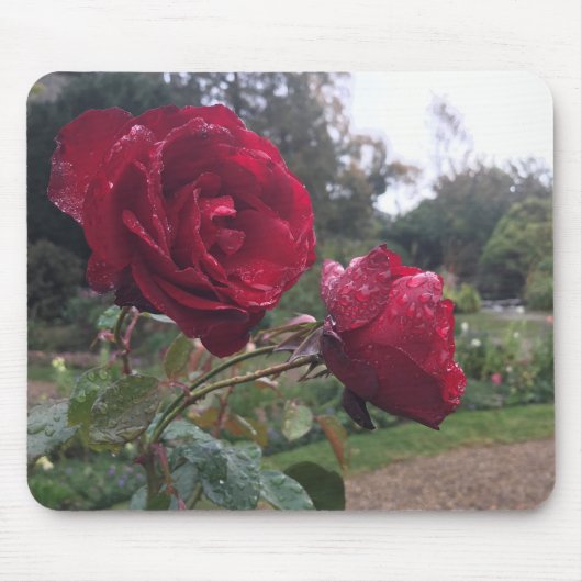 赤いバラのペア マウスパッド (正面)