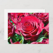 赤いバラのポストカード ポストカード (正面/裏面)