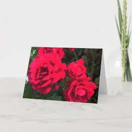 赤いバラのロザリウム シーズンカード