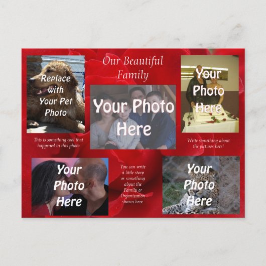 赤いバラの上の私たちの美しい家族写真 ポストカード (正面)