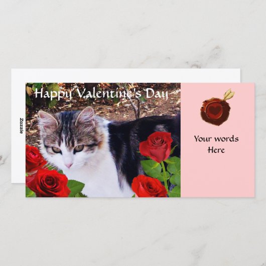 赤いバラの付いた猫 シーズンカード (正面/裏面)