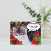 赤いバラの付いた猫 ポストカード (スタンド正面)