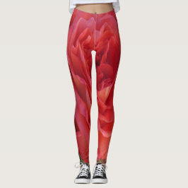 赤いバラの写真 レギンス