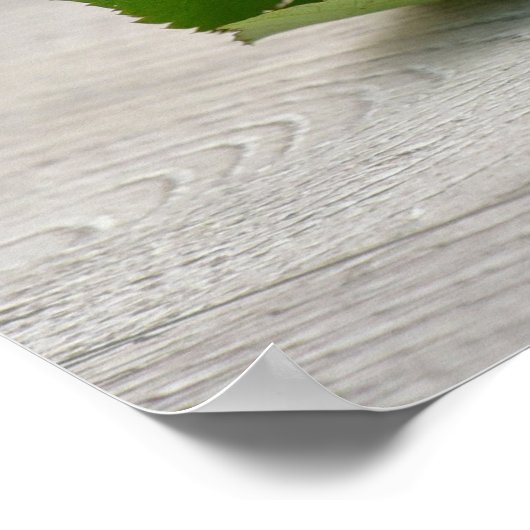 赤いバラの可愛い猫 ポスター (角)