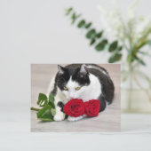 赤いバラの可愛い猫 ポストカード (スタンド正面)