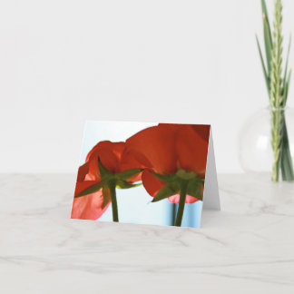 赤いバラの底カード カード