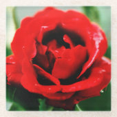 赤いバラの愛 ガラスコースター (正面)