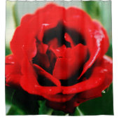 赤いバラの愛 シャワーカーテン (正面)