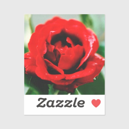 赤いバラの愛 シール (シート)