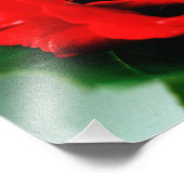 赤いバラの愛 フォトプリント            (角)