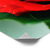 赤いバラの愛 ポスター (角)