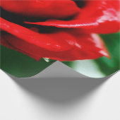 赤いバラの愛 ラッピングペーパー (角)