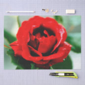 赤いバラの愛 薄葉紙 (クラフト)