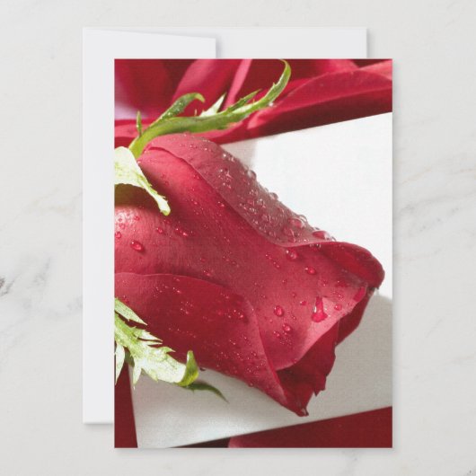 赤いバラの結婚式招待状 招待状 (裏面)