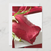 赤いバラの結婚式招待状 招待状 (裏面)