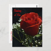 赤いバラの縦型ポストカード ポストカード (正面/裏面)