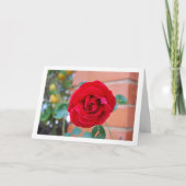赤いバラの肖像画 カード (正面)