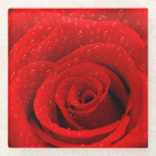 赤いバラの背景の写真 ガラスコースター (正面)