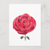 赤いバラの花のイラスト 赤いバラ ポストカード (正面)
