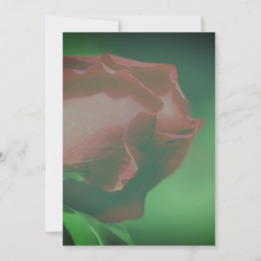 赤いバラの花のウェディングシャワー 招待状 (裏面)