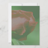 赤いバラの花びらパーティー 招待状 (裏面)