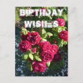 赤いバラの花園の花のハッピーバースデー ポストカード (正面)