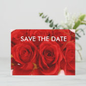 赤いバラの花束 招待状/お知らせ 招待状 (スタンド正面)