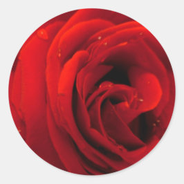 赤いバラの花 ラウンドシール