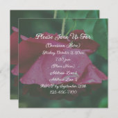 赤いバラの花 招待状 (正面/裏面)