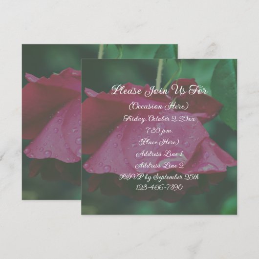 赤いバラの花 招待状 (正面/裏面)