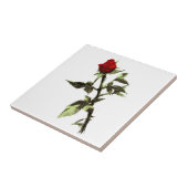 赤いバラの芽 タイル (側面)