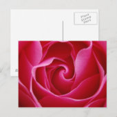 赤いバラの葉書 ポストカード (正面/裏面)