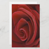 赤いバラの静止 便箋 (正面/裏面)