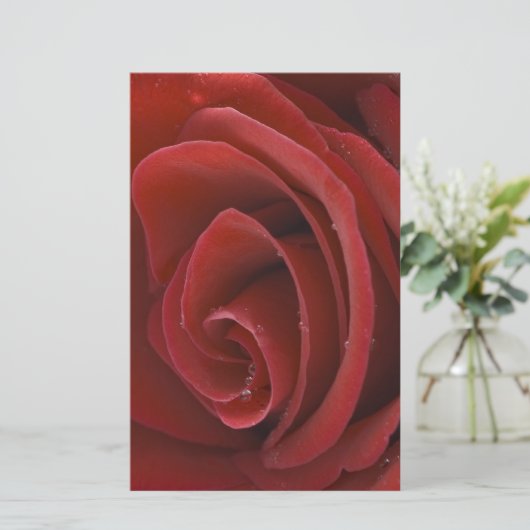 赤いバラの静止 便箋 (スタンド正面)