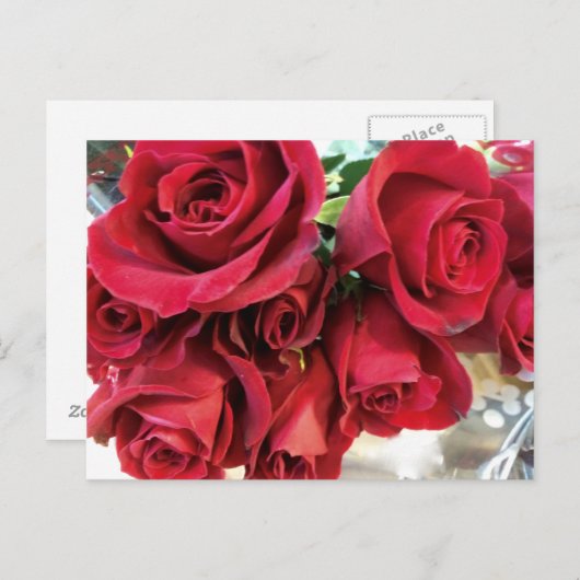 赤いバラのSave the Dateポストカード 案内ポストカード (正面/裏面)