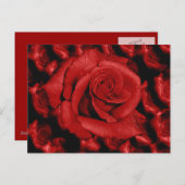 赤いバラは葉書を愛する ポストカード (正面/裏面)