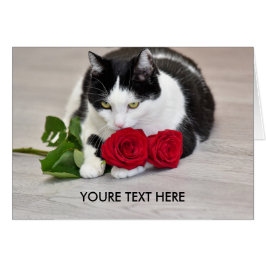 赤いバラを持つかわいい猫